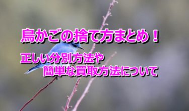 鳥かごの捨て方まとめ！正しい分別方法や簡単な買取方法について